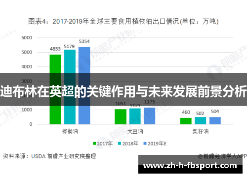 迪布林在英超的关键作用与未来发展前景分析