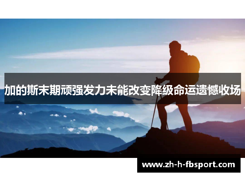 加的斯末期顽强发力未能改变降级命运遗憾收场 加的斯末期顽强发力未能改变降级命运遗憾收场