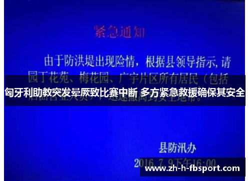 匈牙利助教突发晕厥致比赛中断 多方紧急救援确保其安全