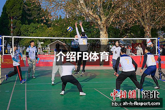 介绍FB体育